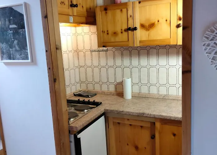 Val Di Fassa House - With Free Parking 아파트